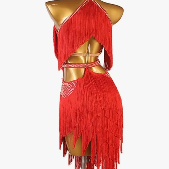 Elegant Red Fringe Dress - Picture 2 of 4